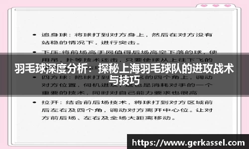 羽毛球深度分析：探秘上海羽毛球队的进攻战术与技巧