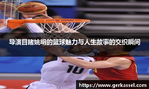 导演目睹姚明的篮球魅力与人生故事的交织瞬间